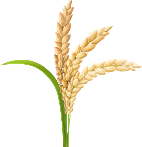 雨天行車降速控距亮尾_雨天交通安全出行提示_出行提示