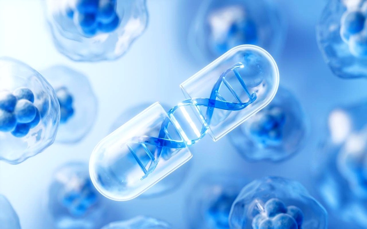 成都限行新規(guī)_高新南區(qū)限行_限行