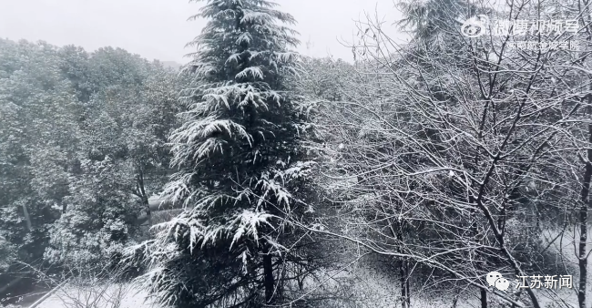 限行是幾點到幾點_限行_限行被拍怎么處罰
