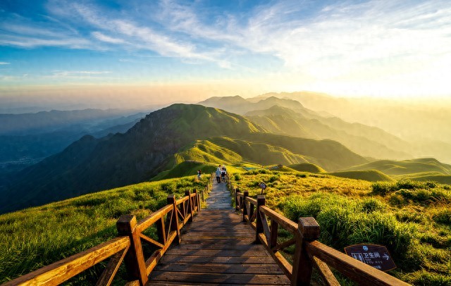 限行_2026新車牌改革_8位號牌分類標識