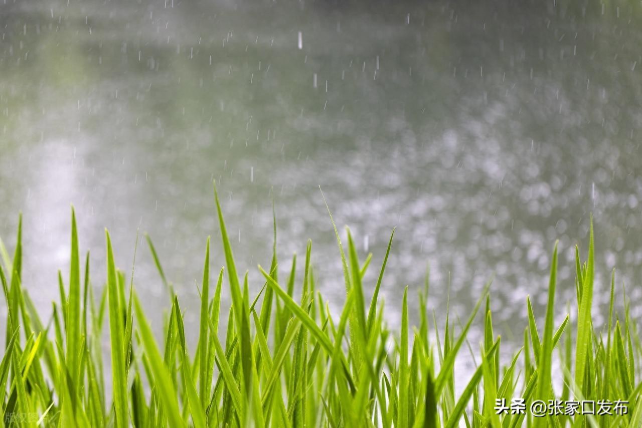 出行提示_橋東區(qū)文旅局_汛期旅游安全出行提示