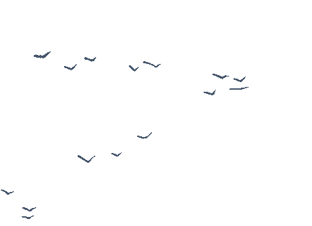 寫簡(jiǎn)短的溫馨的出行提示_出行提示_出行提示圖片