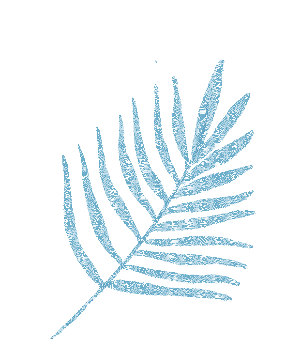 冬季雪霧天氣行車安全_出行提示_冰雪路面駕駛技巧