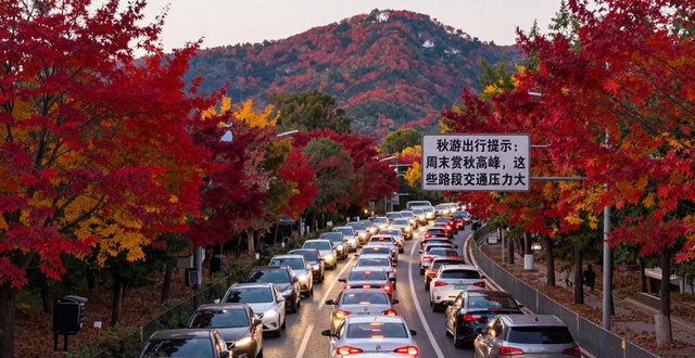 出行提示_紅葉最佳觀賞期_秋游出行提示