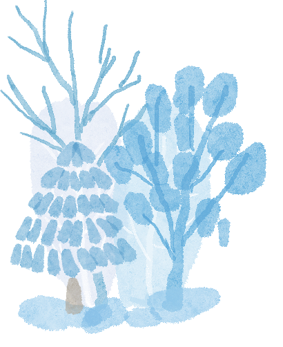 冰雪路面駕駛技巧_出行提示_冬季雪霧天氣行車安全